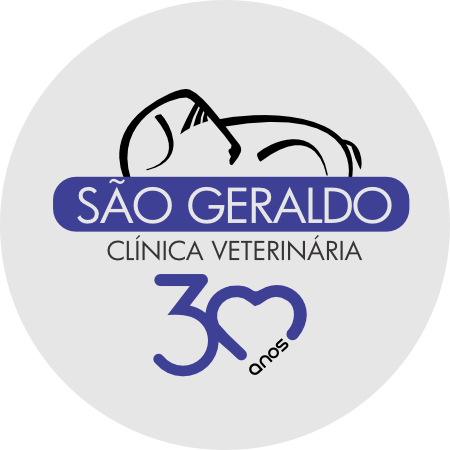 Carmen-Cioglia-Dias-Lima é socia e fundadora da Clínica Veterinária Sao Geraldo